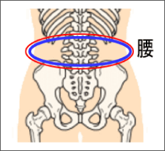腰痛は腰痛アカデミーで、ヘルニア、狭窄症も治る、更に坐骨神経痛も治す坂戸孝志の名医による腰痛は自分で治せる治療法