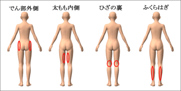 腰痛を治す腰痛アカデミーは腰痛やヘルニア、狭窄症、坐骨神経痛を治すため坂戸孝志先生により考案された自分で治せる治療法