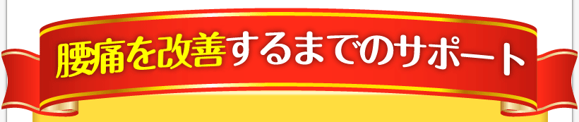 腰痛が治る腰痛アカデミーのヘルニア、狭窄症、坐骨神経痛で感じる腰痛治すまでの名医坂戸孝志のサポート
