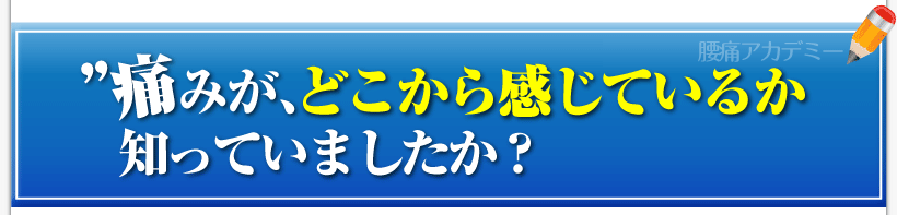 腰痛を治す腰痛アカデミーで、腰痛、ヘルニア、狭窄症、坐骨神経痛、を治していない
”痛み”がどこから感じているか知っていましたか？
