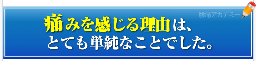 腰痛を治す腰痛アカデミーで紹介致します、腰痛、ヘルニア、狭窄症、坐骨神経痛、の痛みを感じる理由は、とても単純なことでした。