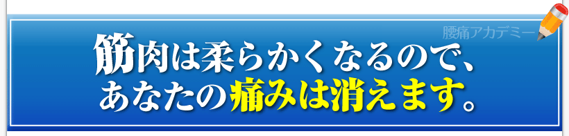 腰痛は腰痛アカデミーで実践できる、腰痛、ヘルニア、狭窄症、坐骨神経痛、は筋肉が柔らかくなるので、あなたの痛みは消えます。