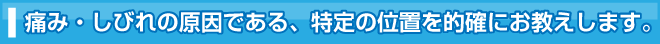 腰痛は腰痛アカデミーで、腰痛、ヘルニア、狭窄症、坐骨神経痛の痛み・しびれの原因である、特定の位置を的確にお教えします。